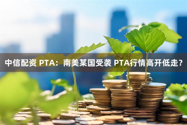 中信配资 PTA：南美某国受袭 PTA行情高开低走？